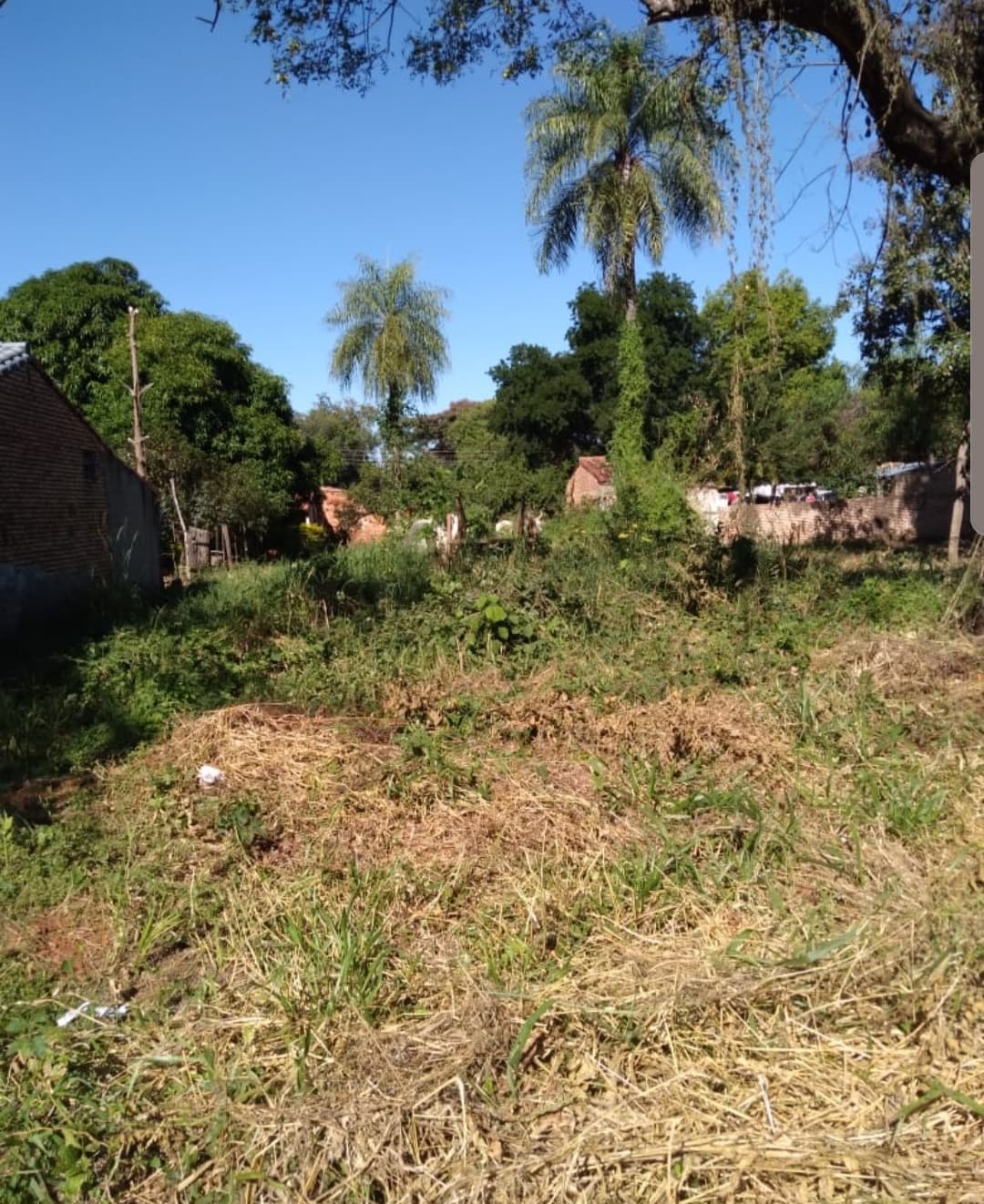 Vendo terreno en Luque yka a