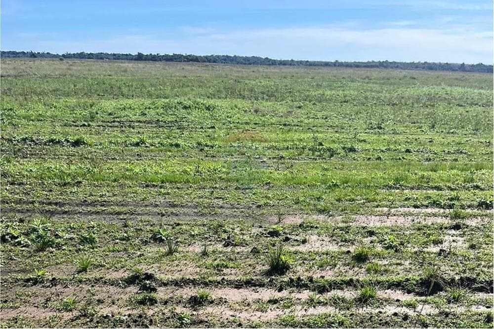 Campo agricola mecanizada en san pedro del parana, foto 3