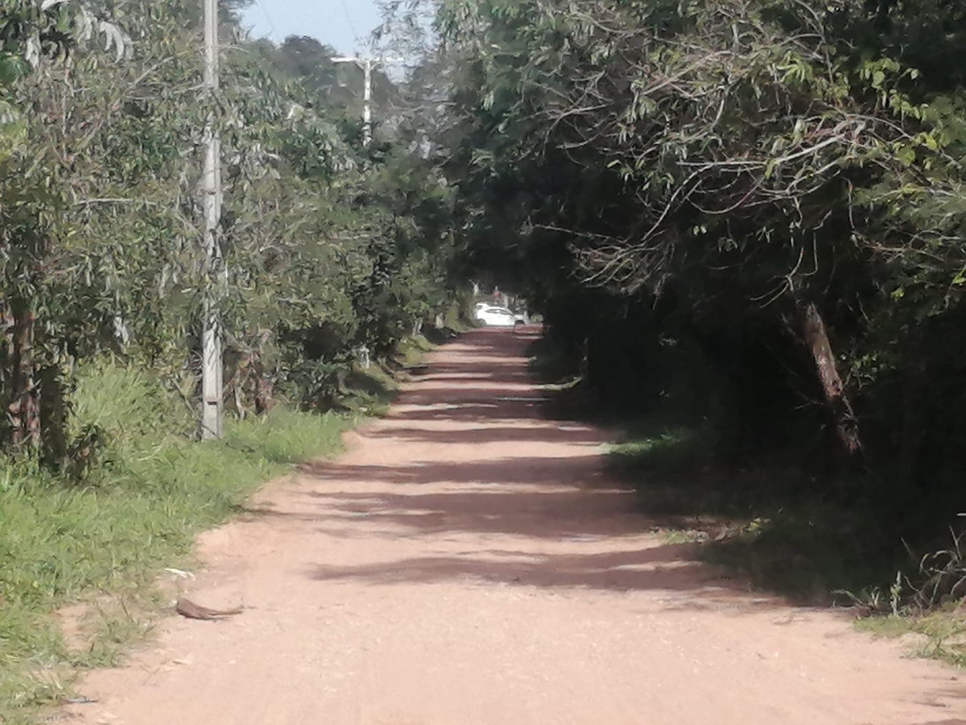 Terreno San Bernardino - zona ciervo cua, foto 3