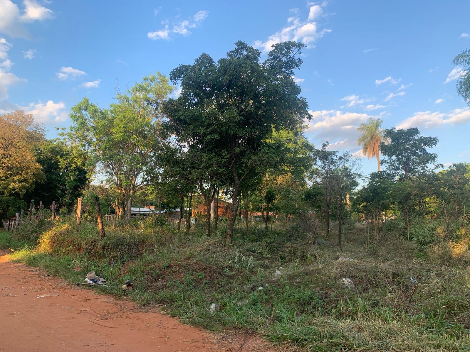 Vendo Terreno En Luque