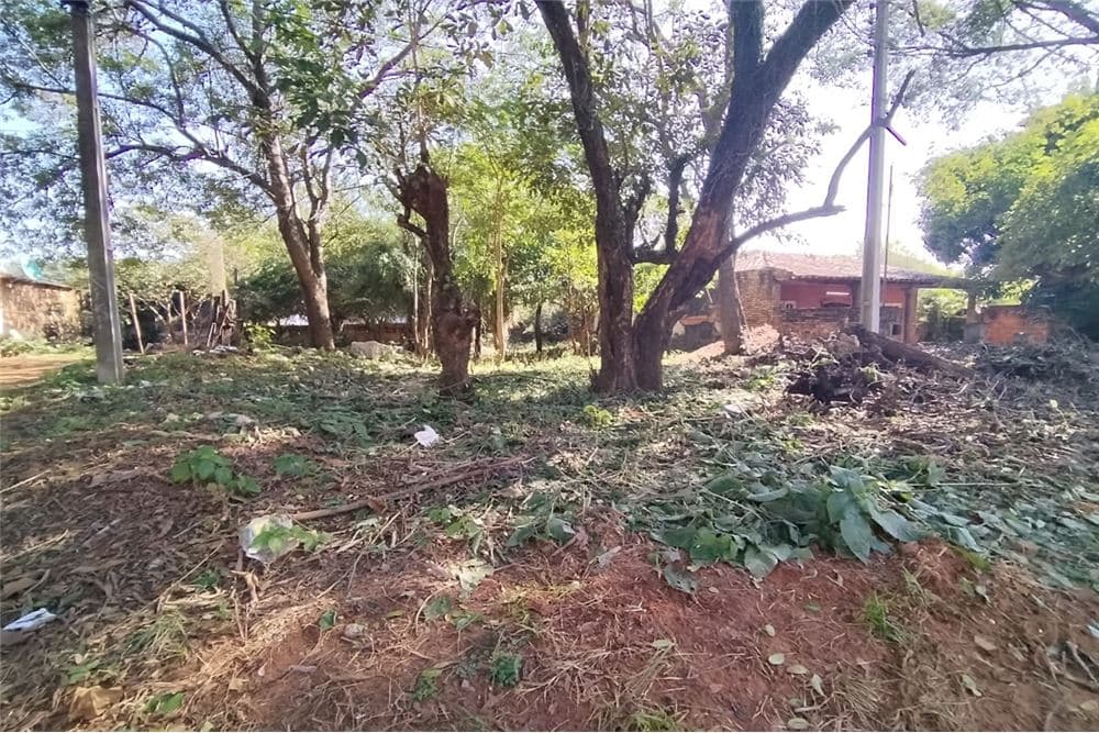 Terreno - Venta - San Lorenzo, Paraguay, foto 3