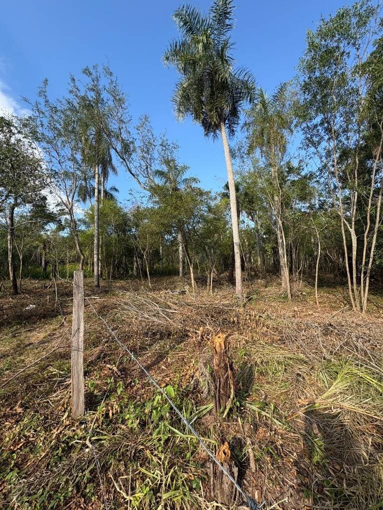 Terrenos en Zona Anfiteatro – San Bernardino. Lote 20 y Lote 21, foto 3