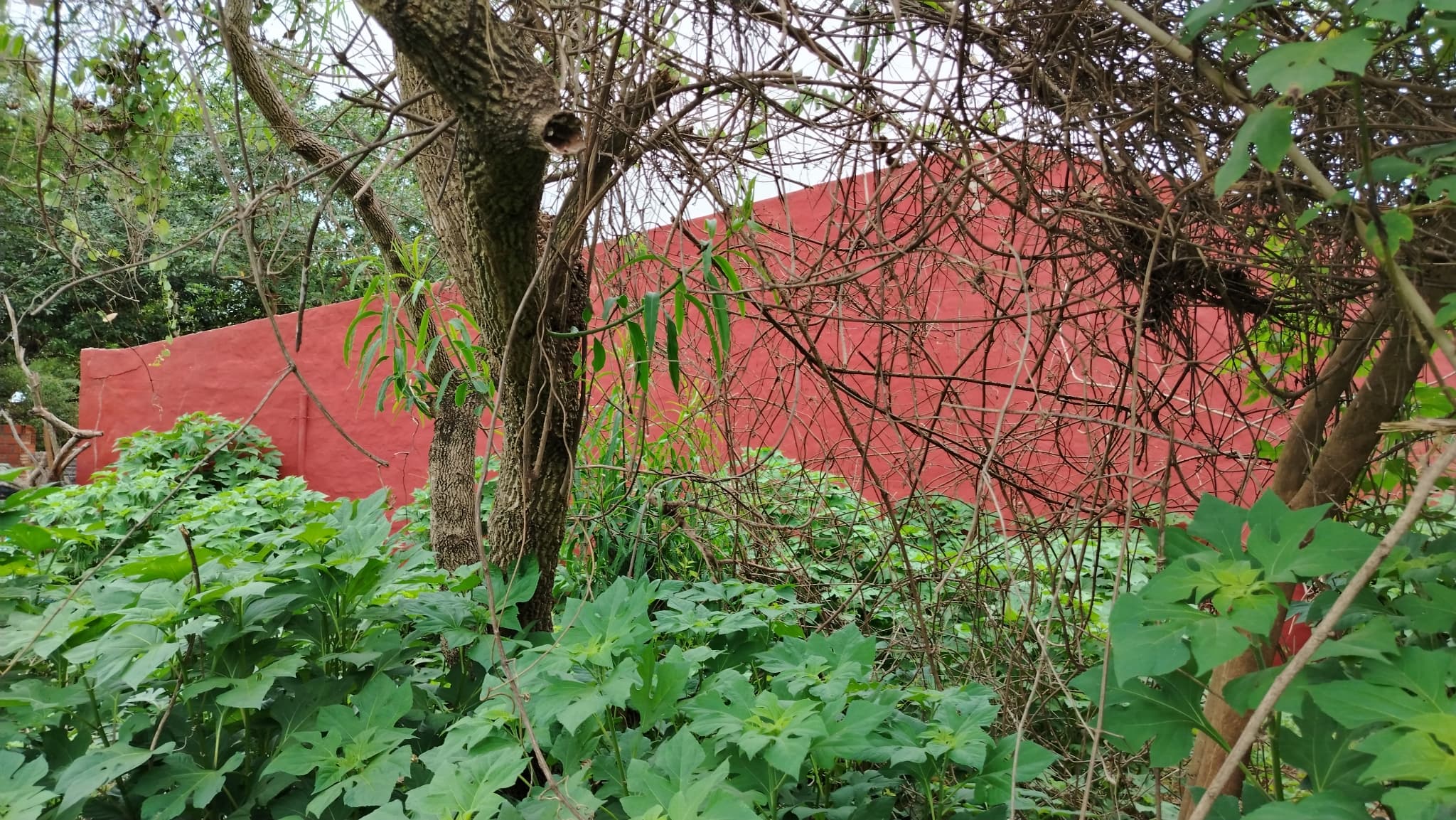 Terreno en venta en aregua (villa rosita), foto 3