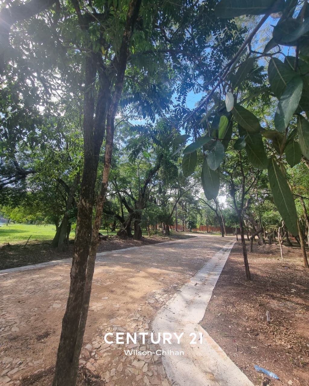 Terreno en San Bernardino — foto 4