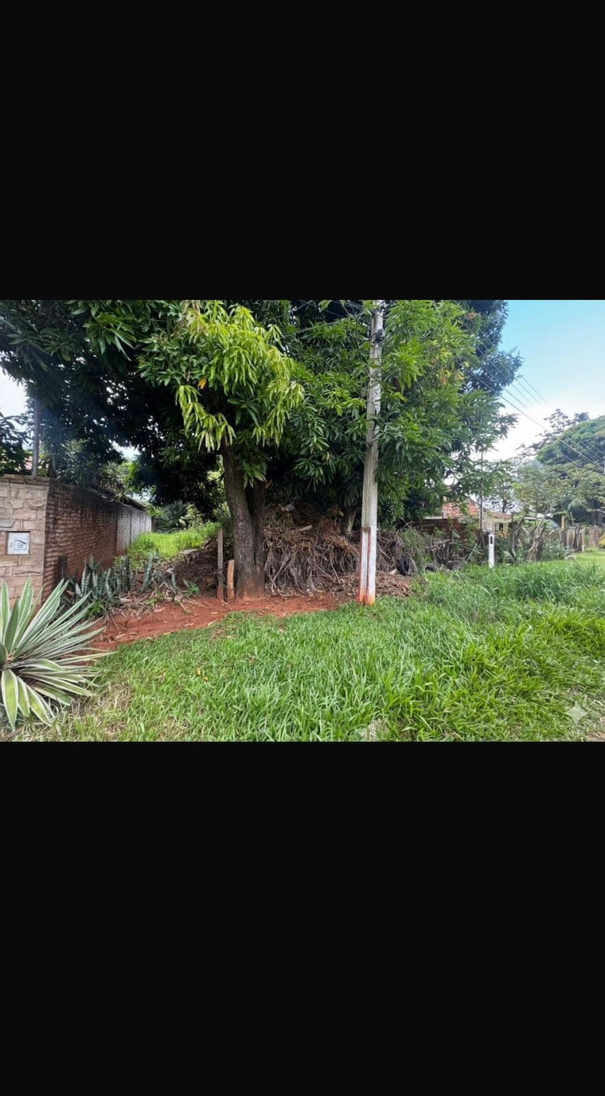 Vendo Terreno en San Lorenzo