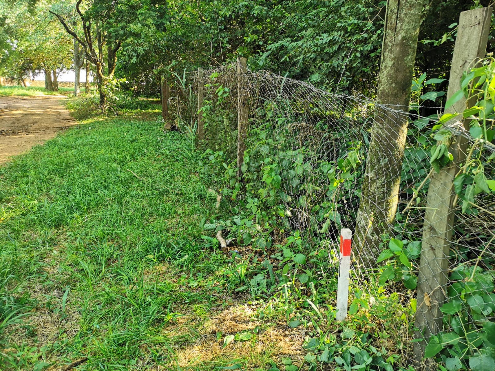 Vendo terreno en surubi'i ( cod 037)