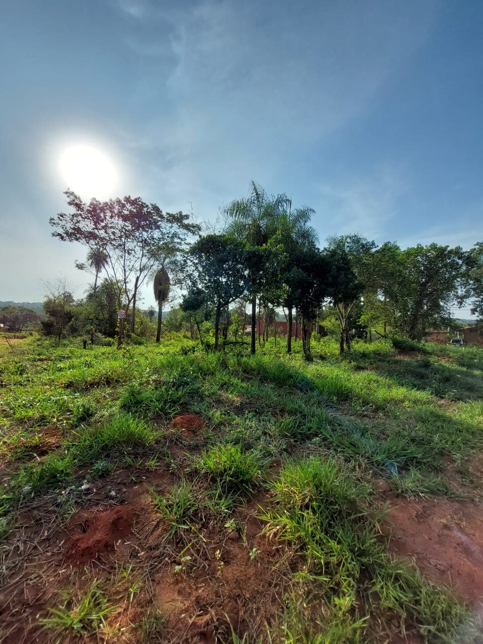 Vendo 3 terrenos en ypané – paso de oro