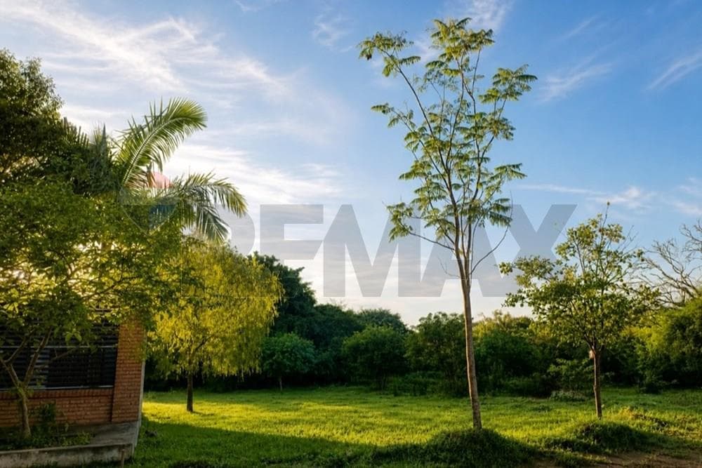 Dos terrenos juntos en Luque - ycua dure, foto 2