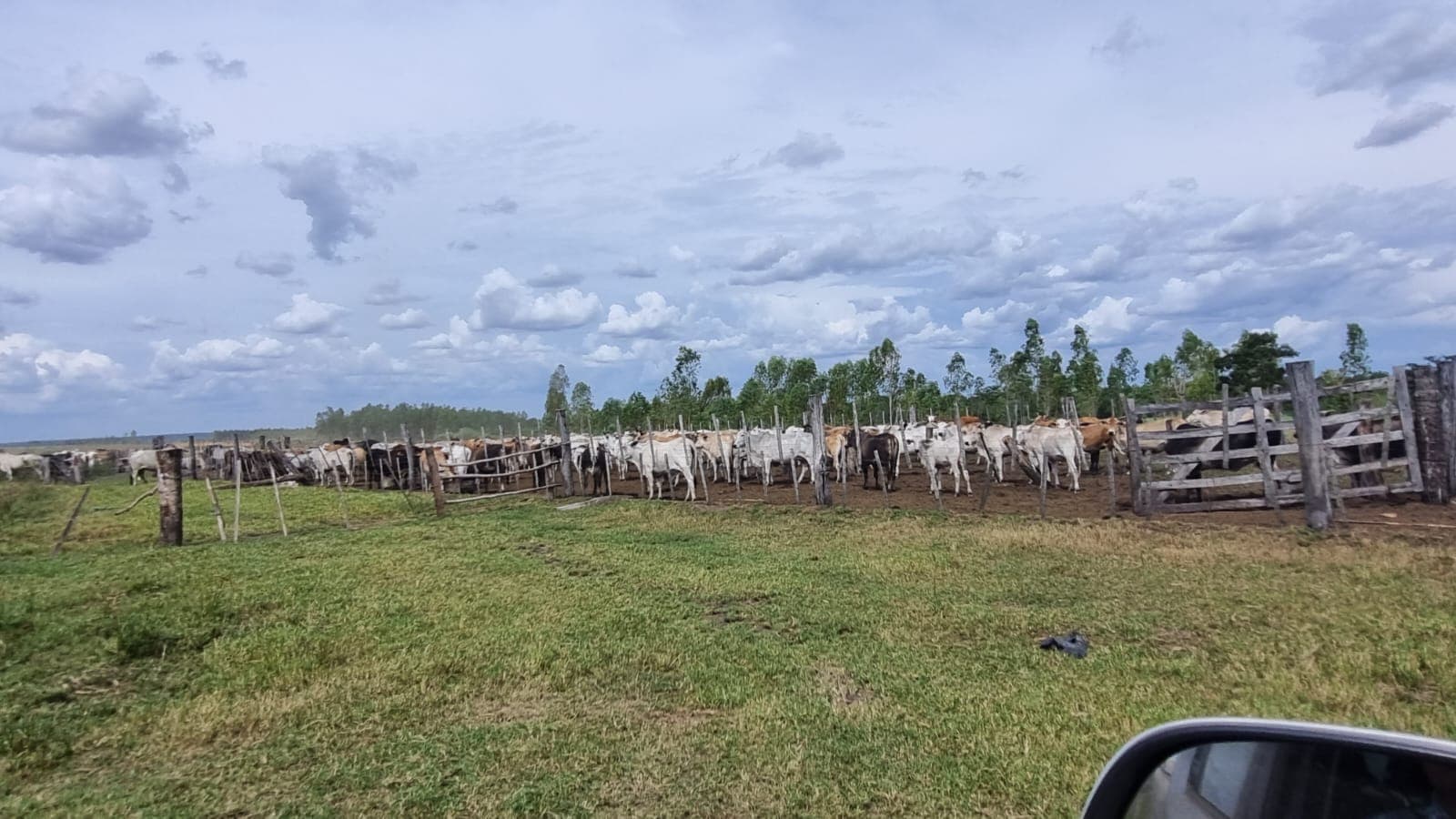 Campo de 747 Hectáreas en Santa Rosa del Aguaray - CLCS7320234, foto 3