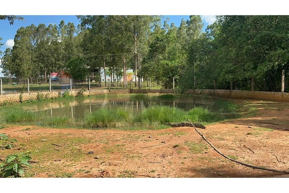 Estancia/Campo - Venta - Tavapy, Alto Paraná, Paraguay — foto 4