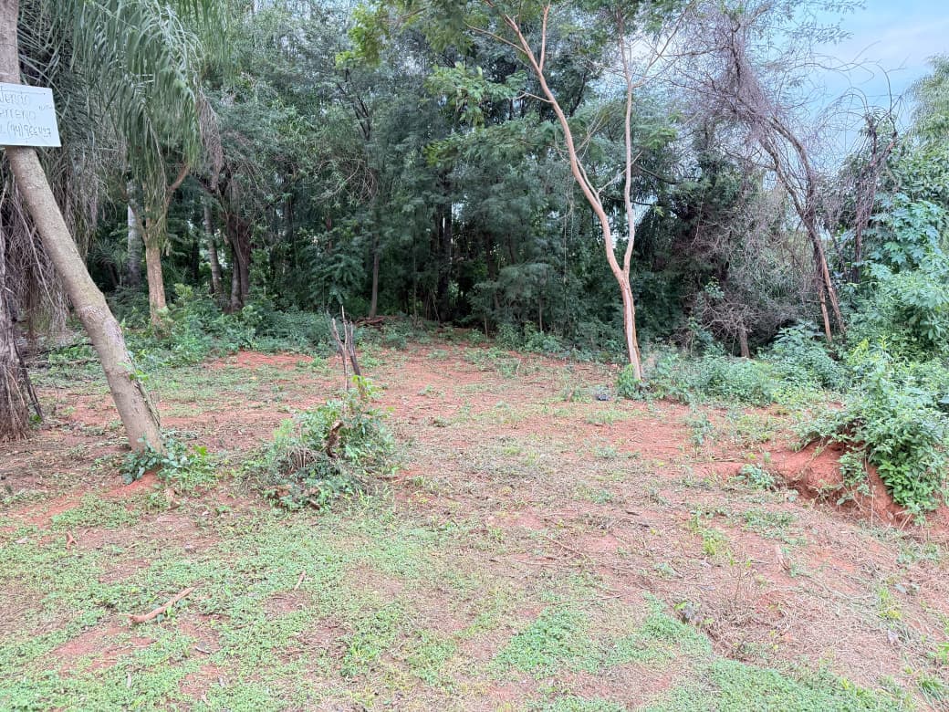 Terreno-venta-cuatro vientos-Limpio, foto 5