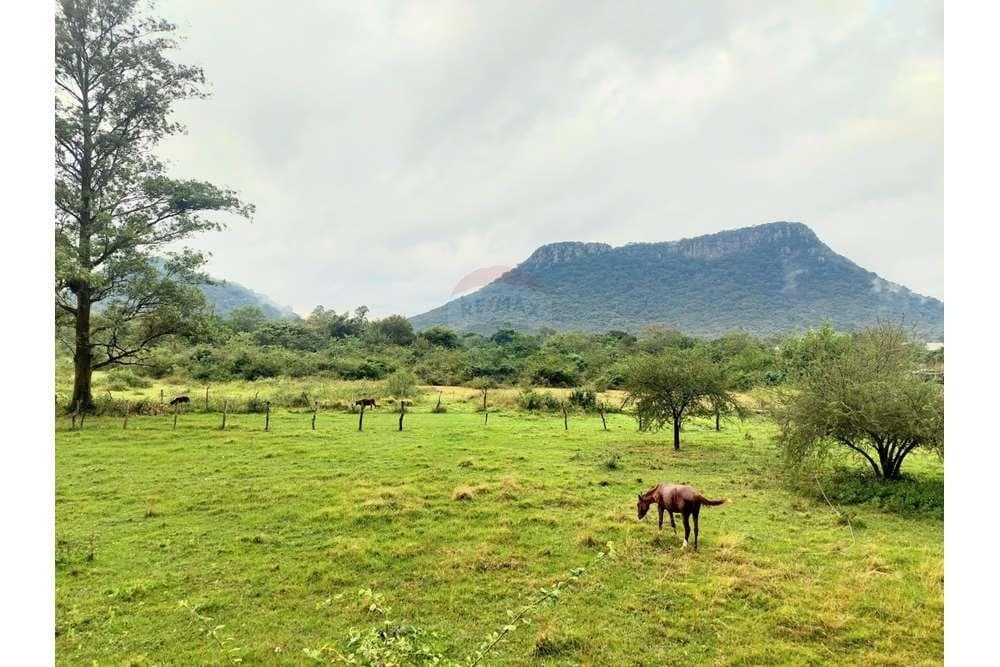 Casa quinta en paraguari con vista al cerro — foto 4