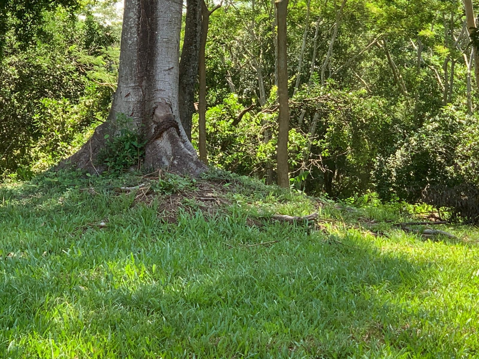Gran terreno en San Bernardino zona ciervo cua, foto 3