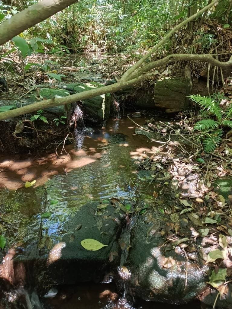 En venta propiedad agricola en paraguari mbatovi, foto 1