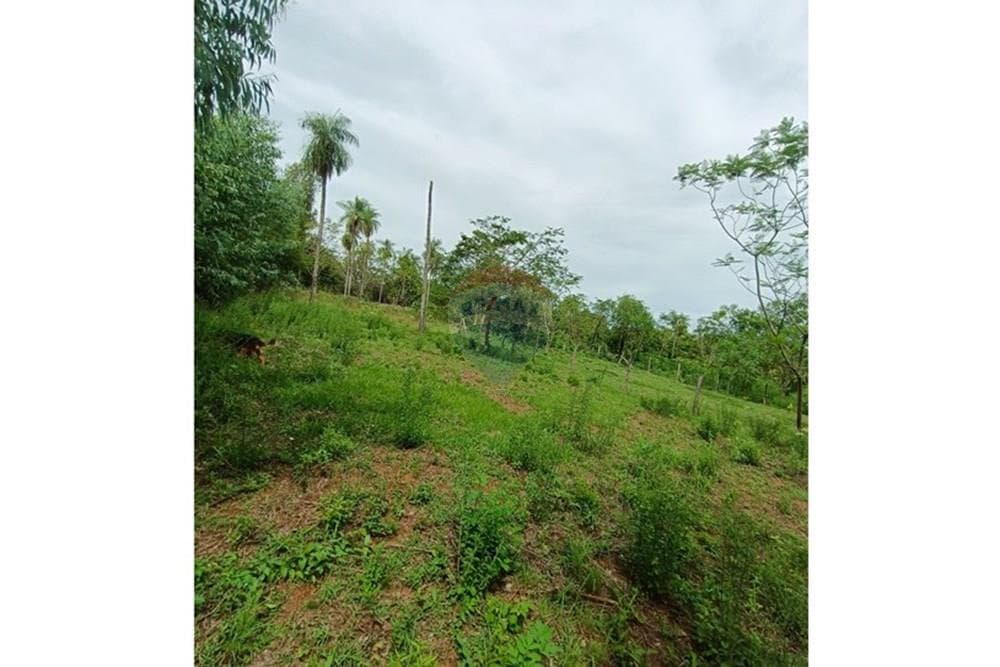Venta Terreno en Nueva Colombia