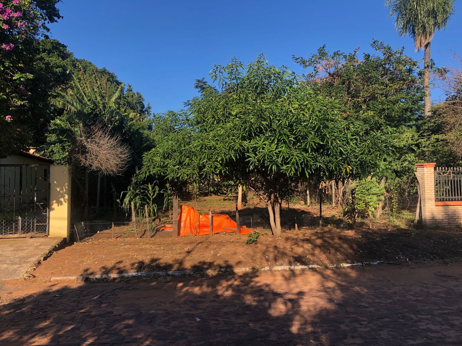 Oferto amplio terreno en venta en San Lorenzo, foto 5