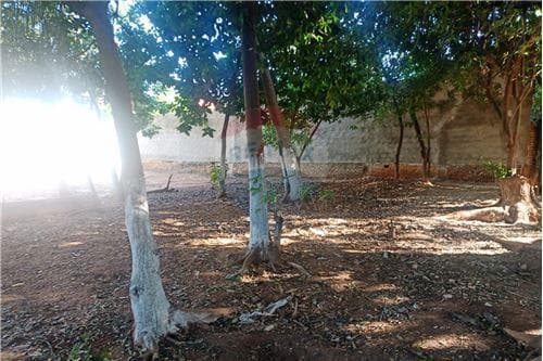 Terreno-Venta-PY Central Lambaré Santa Luisa COD.109, foto 2