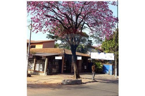 Terreno-Venta-PY Asunción Pinoza Avda. Gral AV. GRAL MÁXIMO SANTOS, foto 5
