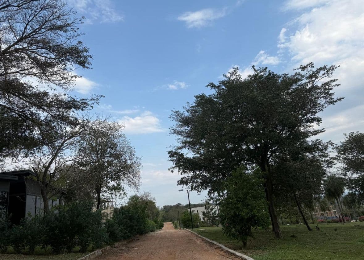 terreno Barrio Cerrado Alta Pietra - Sanber, foto 5