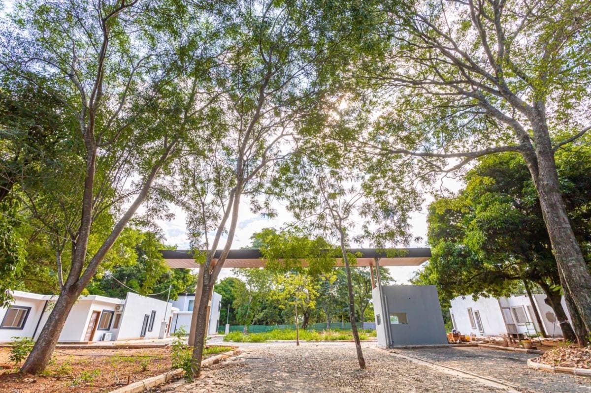 Chalet De 2 Y 3 Dormitorios A Estrenar En Luque Che Roga Pora, foto 1