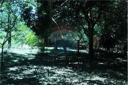Terreno en venta, caacupe, foto 2