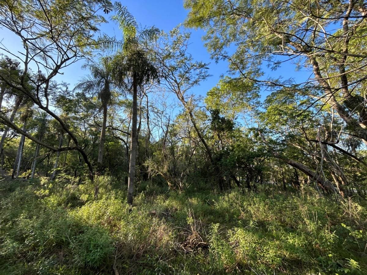 Terreno en San Bernardino 360 m2, foto 5