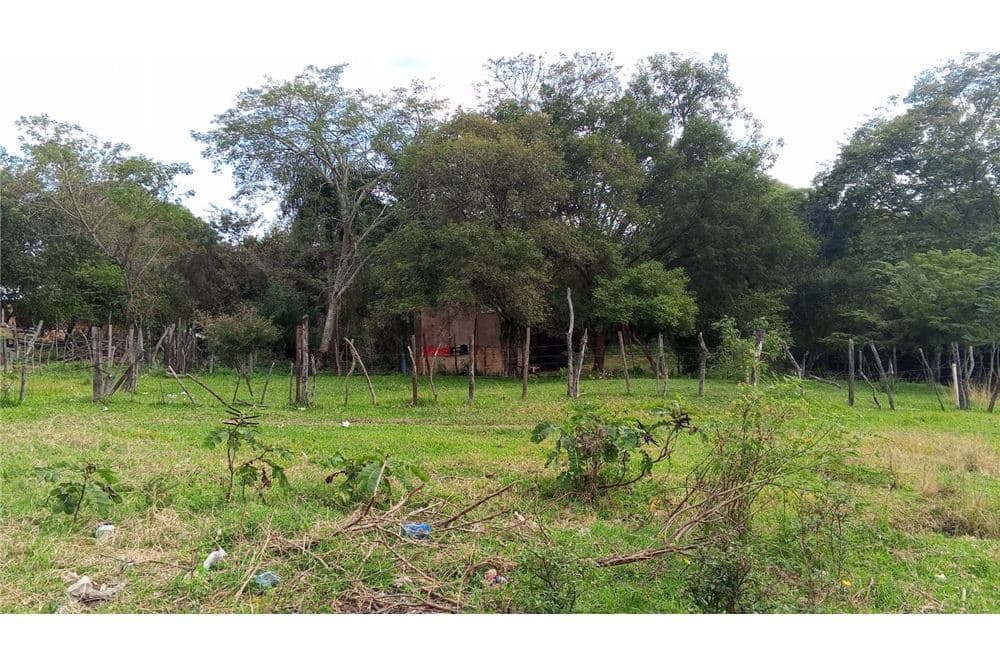 Terreno zona liceo acosta ñu - ypané — foto 3