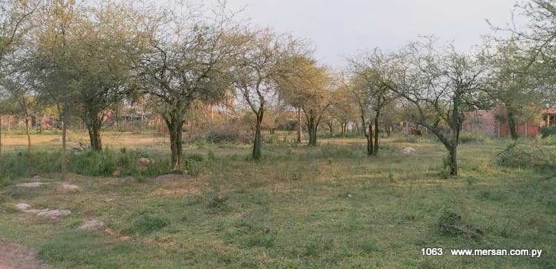 2,2 hectáreas - ciudad de limpio / villa jardín (cód. 1063), foto 4