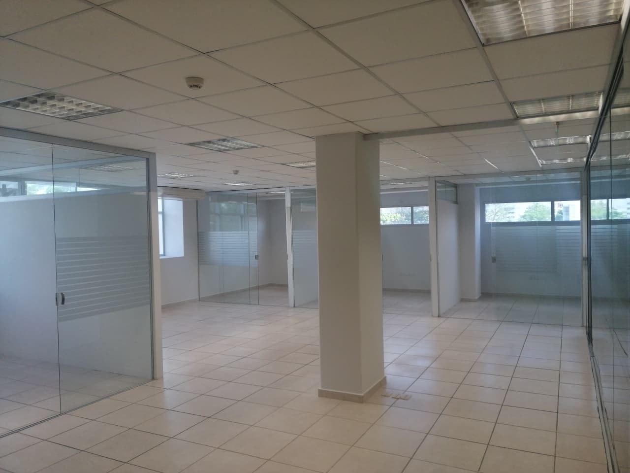 Alquilo Oficina De 188m2 En Villa Morra