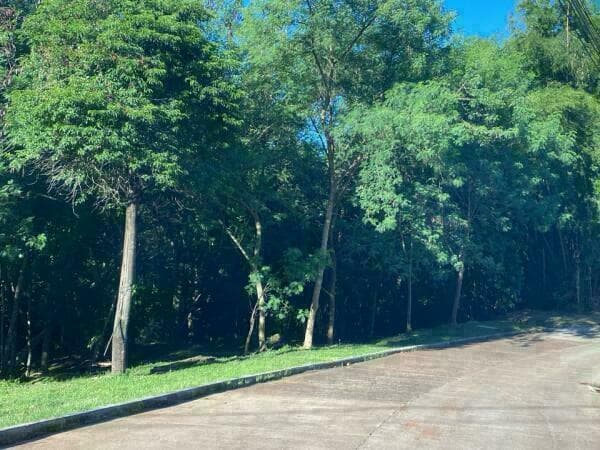 Terreno en el paraná country club, foto 1