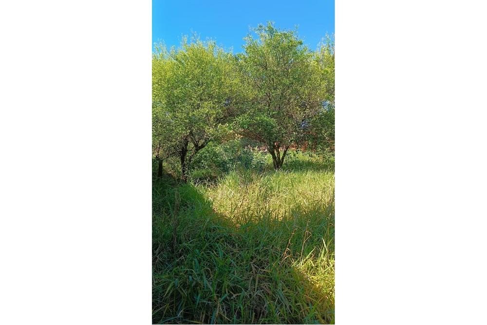 Terreno - Venta - Paraguay Central San Lorenzo, foto 5