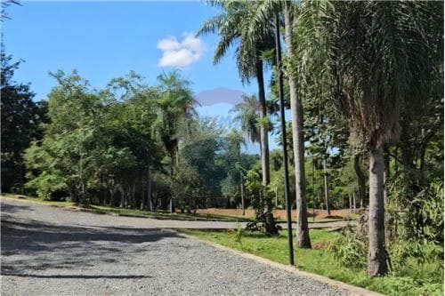 Terreno-Venta-PY Cordillera San Bernardino LA SIERRA: A 1.500 metros de la Ruta…, foto 3