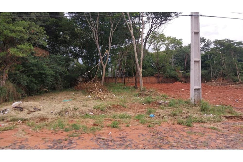 143025233-1, foto 3