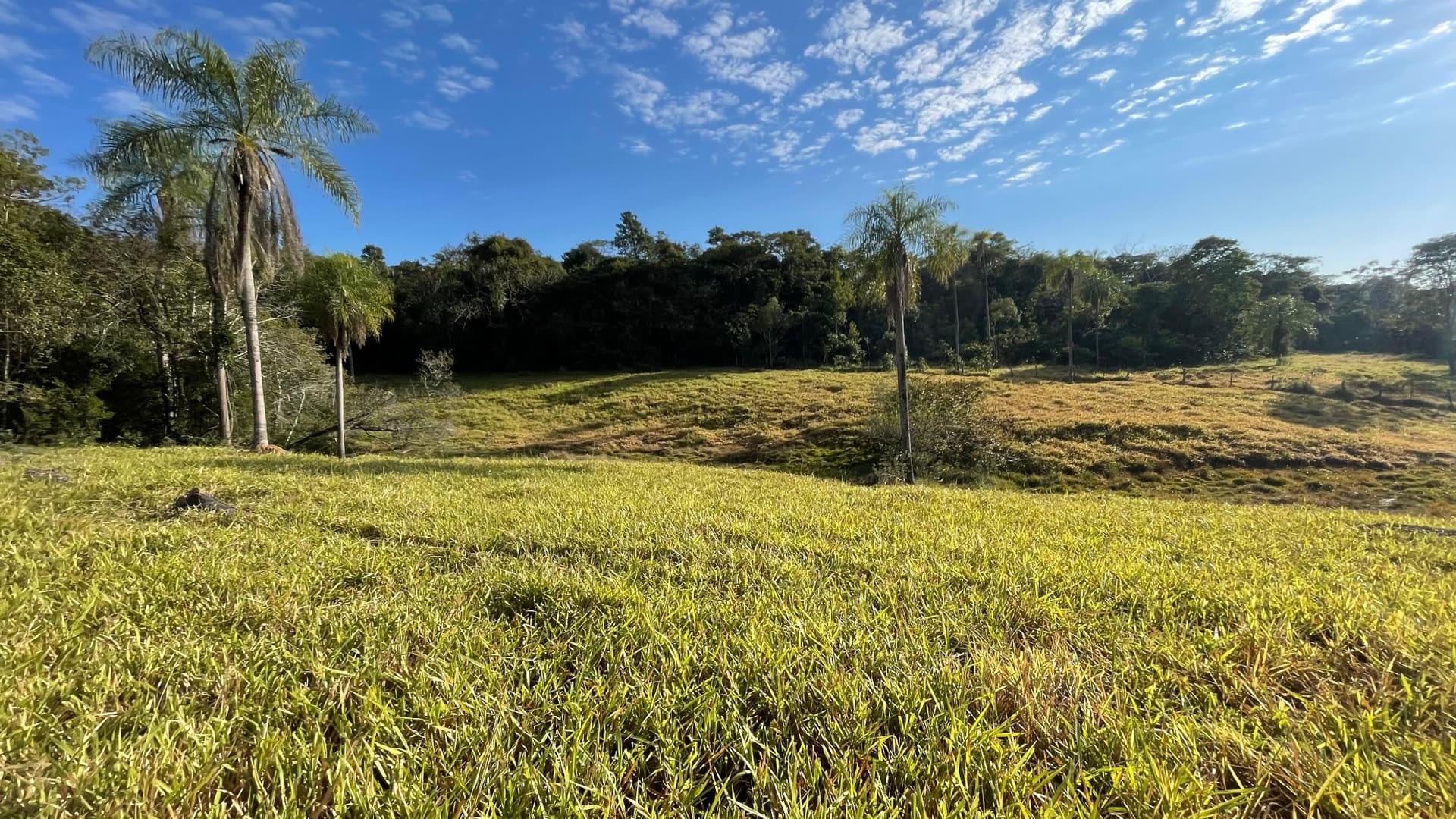 5 Hectáreas Con Casa En Eusebio Ayala A 2,5 Km De Ruta 2, foto 1