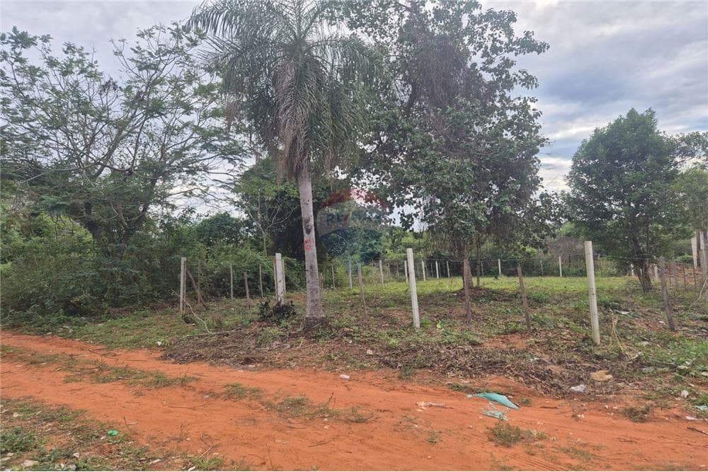 Terreno en Luque, foto 4