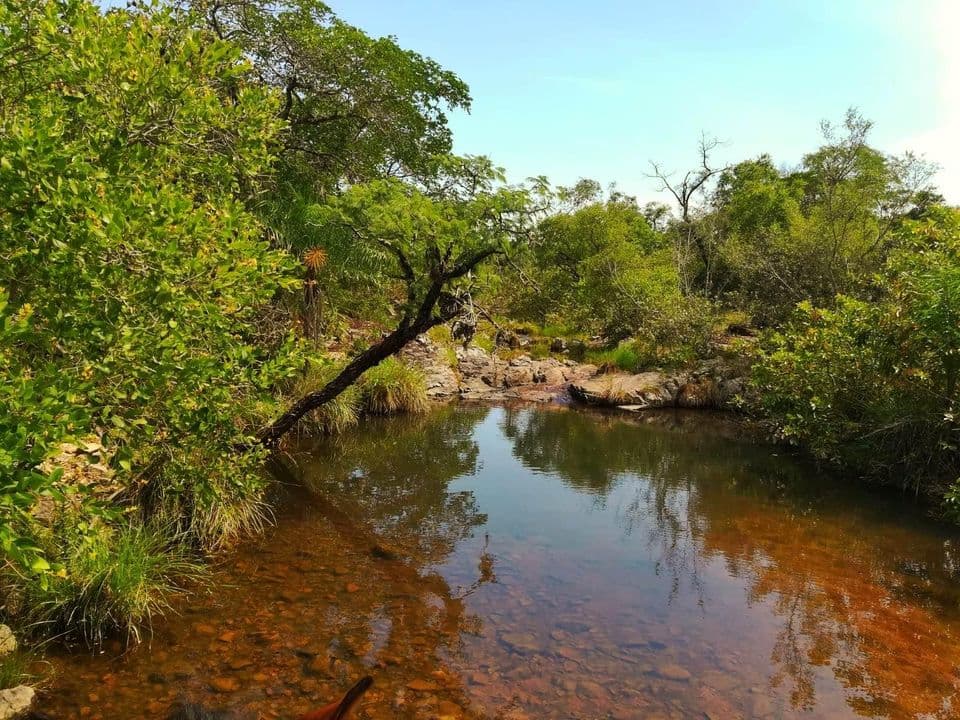 Oferta Vendo Estancia Formada En Caapucu A Tranquera Cerrada Con 150 Cabezas — foto 5