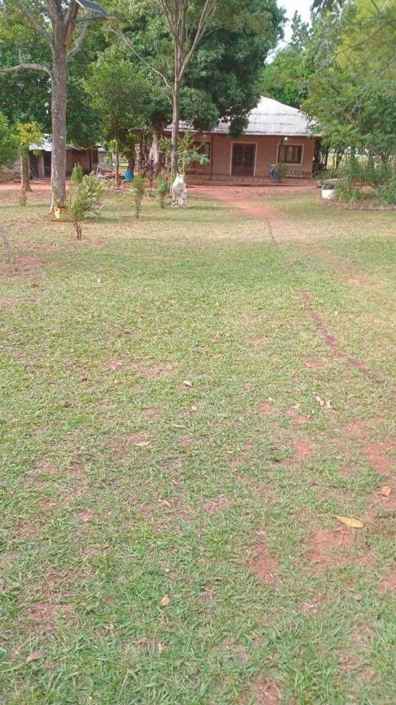 Hermosa granja de 5 has en piribebuy, foto 3