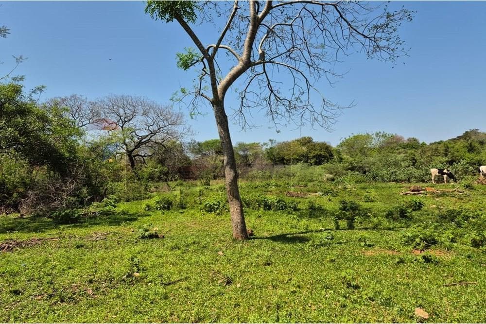 Terreno en Luque - San Bernardino, foto 2
