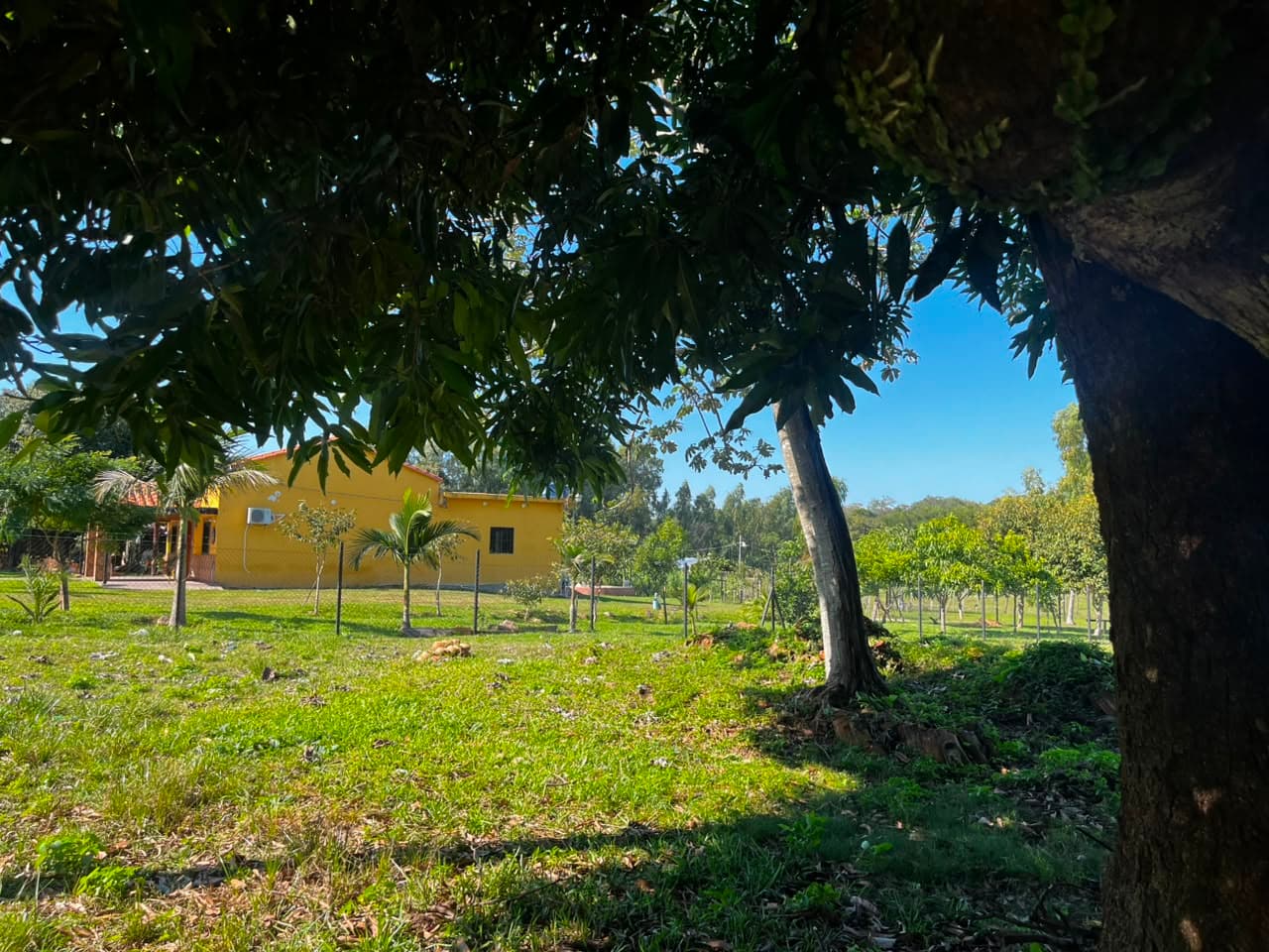 Terreno en venta de 1424 m2 sobre asfalto en Nueva Italia, foto 4