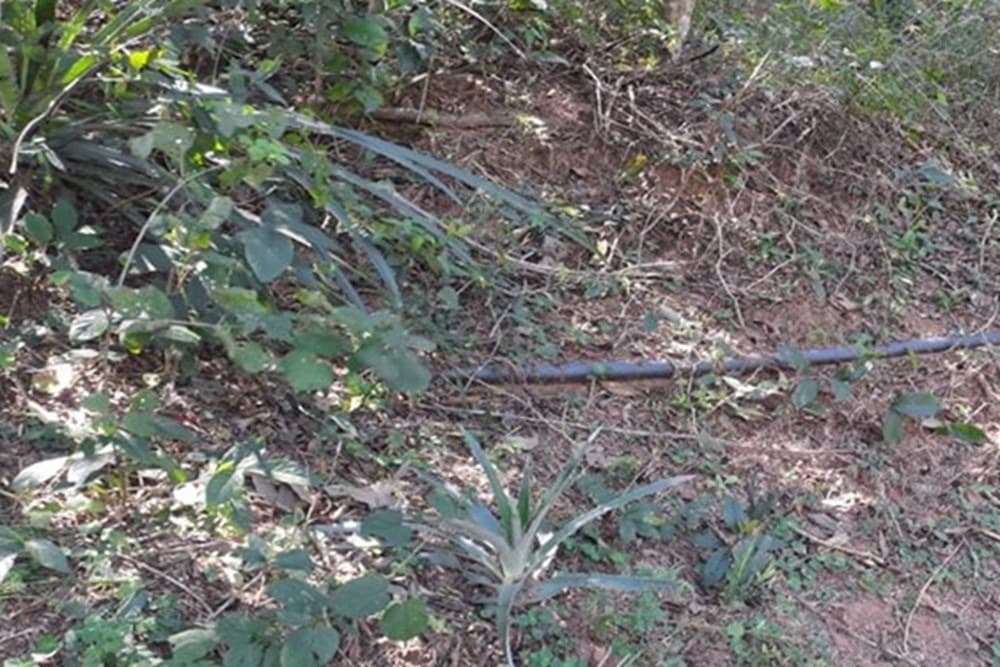 De Terreno En Pirayú 6,48 Hectáreas — foto 4
