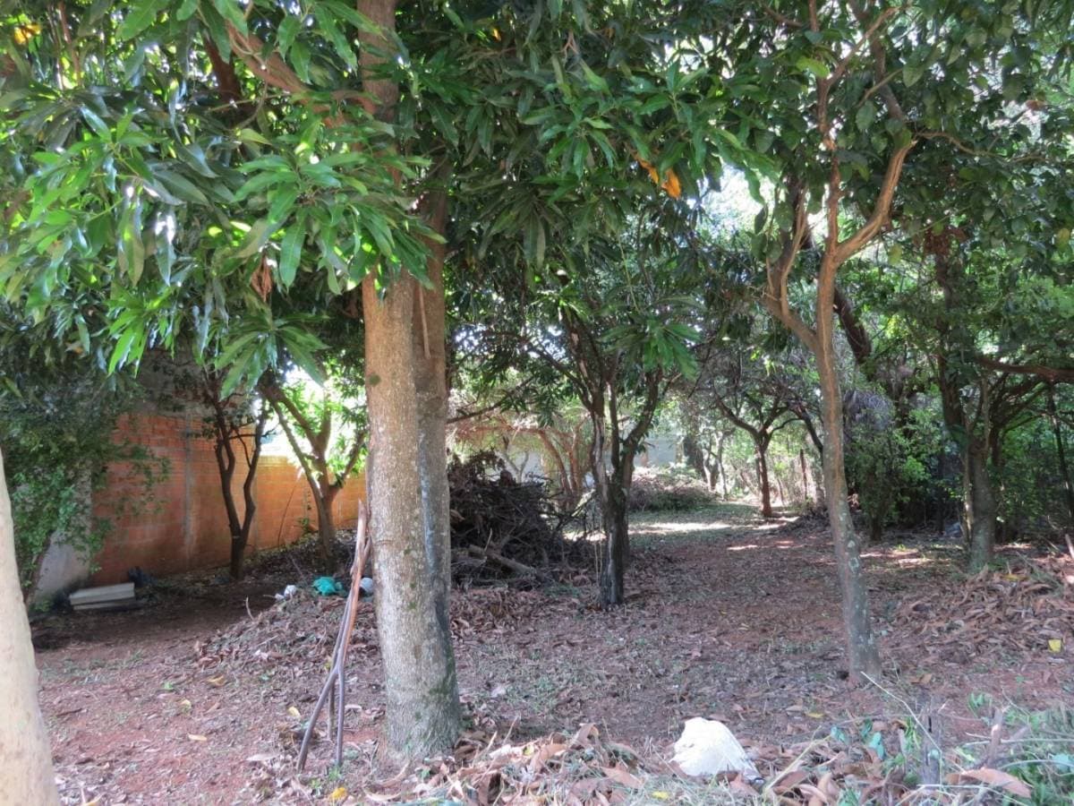 Terreno en Barrio Cerrado La Floresta – Oportunidad única en Luque