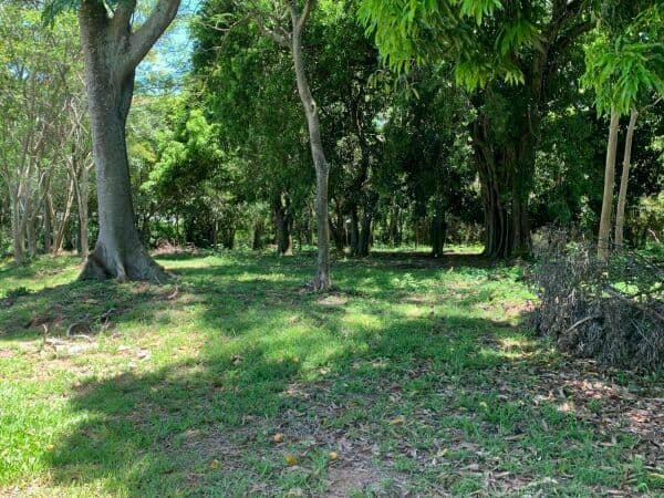 Terreno de 7.500m2 en San Bernardino, foto 2