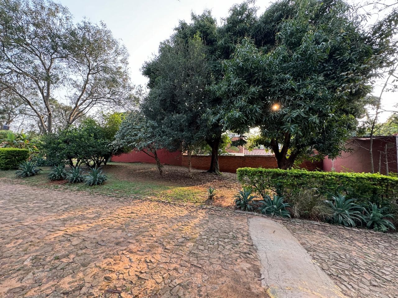 Vendo terreno en Luque zona laurelty