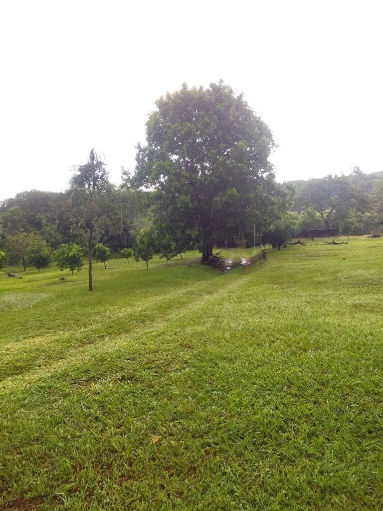 Estancia en altos de 22 hectáreas, foto 1