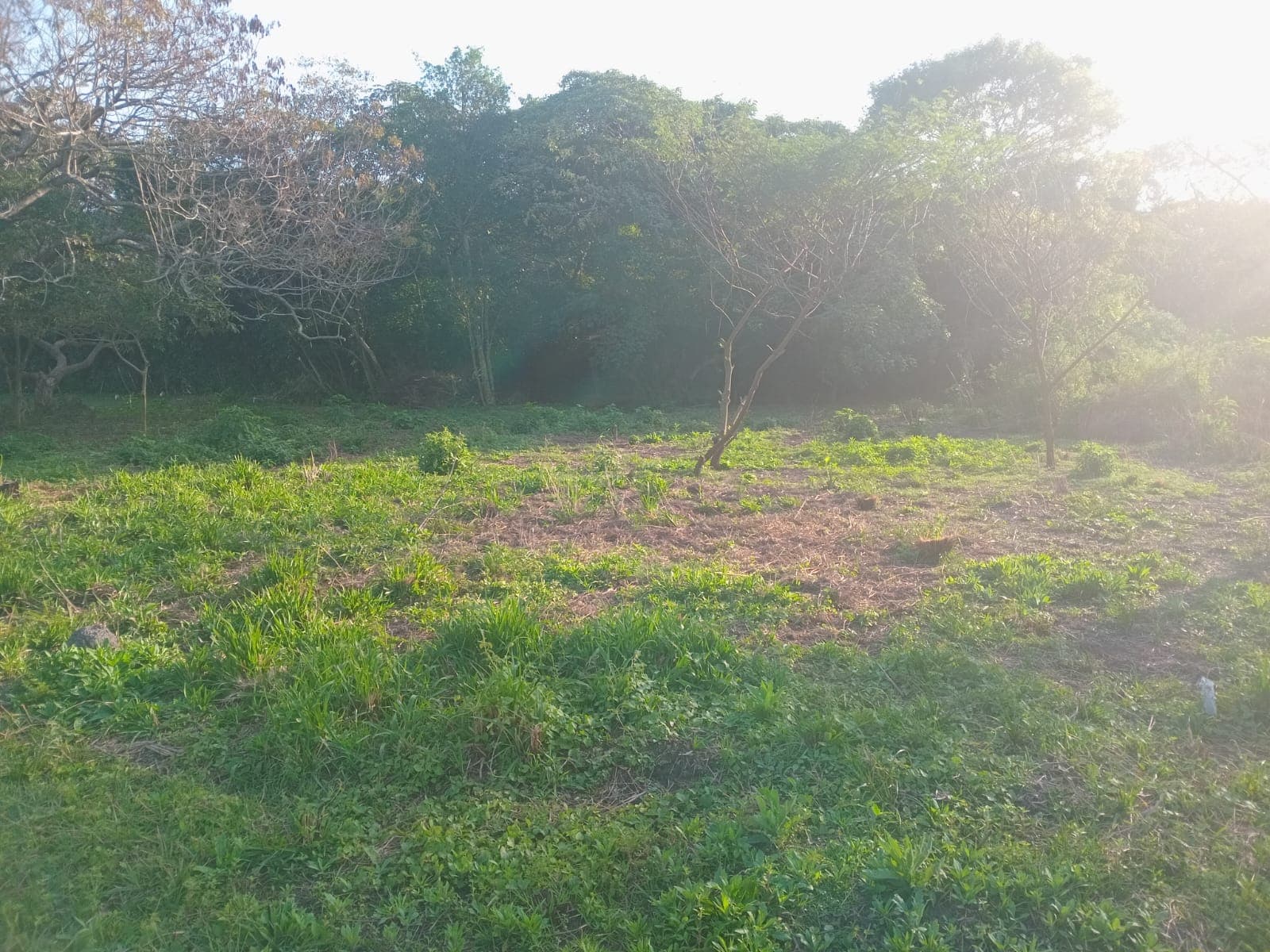 Terreno titulado gs. 85 millones, foto 2