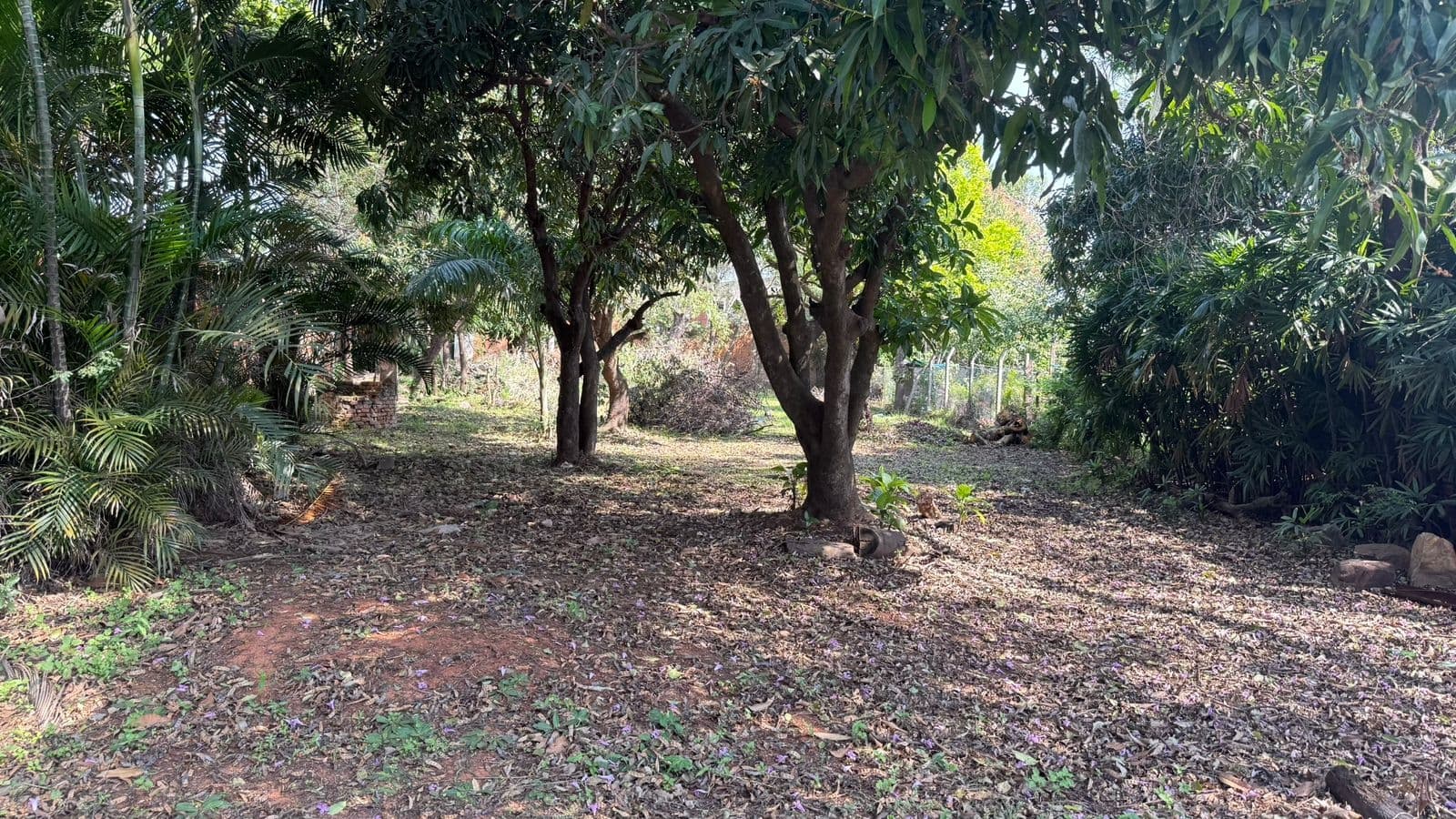 TERRENO EN Luque (Entrada al Barrio Palma Loma), foto 2