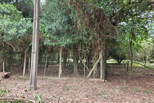 Vendo terreno en San Bernardino