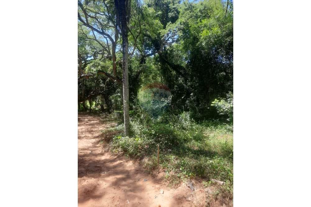 Terreno en caacupe, foto 4