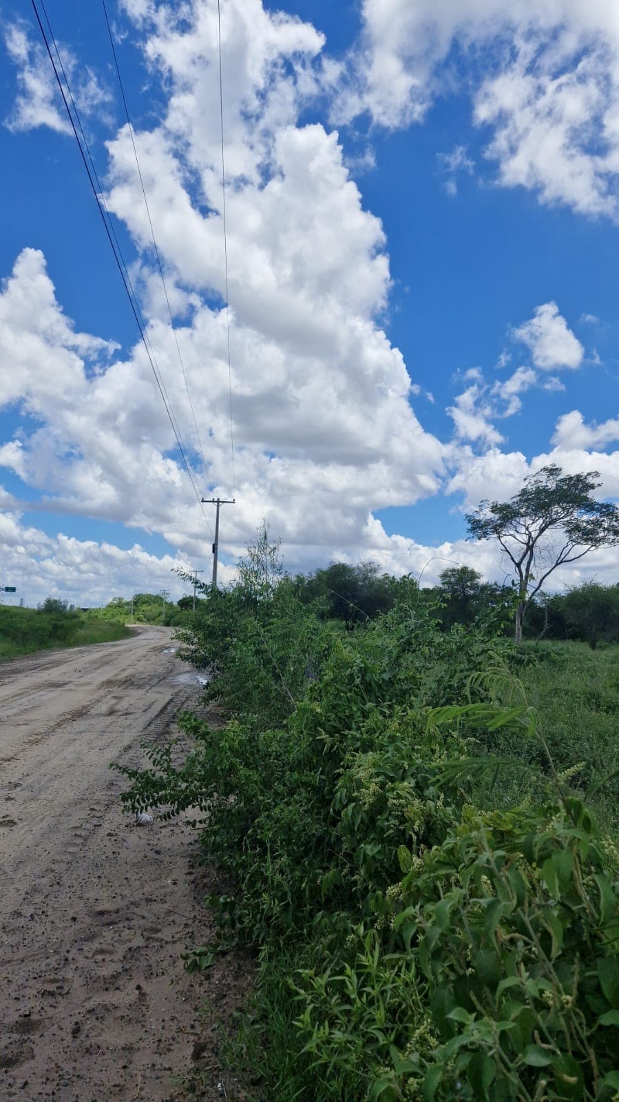 Vendo 8 hectareas en nueva asuncion, a 300 mts del puente heroes del chaco