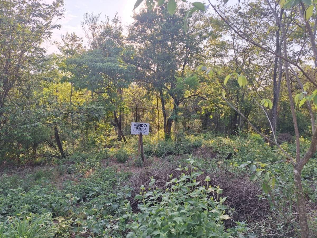 Vendo hermoso terreno en Ciervo Cua